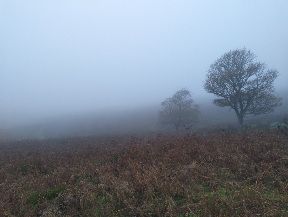 Wales Black Mountains Sugar Loaf hiking in Wales best hikes UK