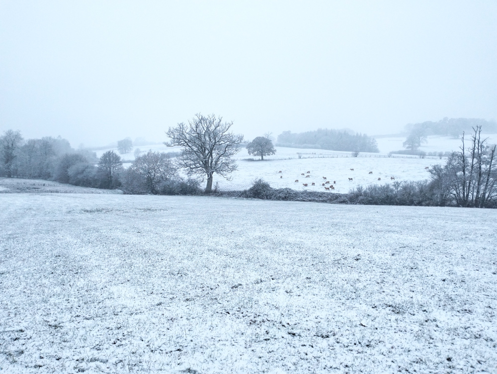 Wales Dingestow Court Old Lands Monmouthshire snow landscapes