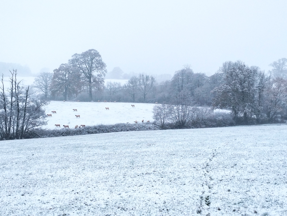 Wales Dingestow Court Old Lands Monmouthshire snow landscapes