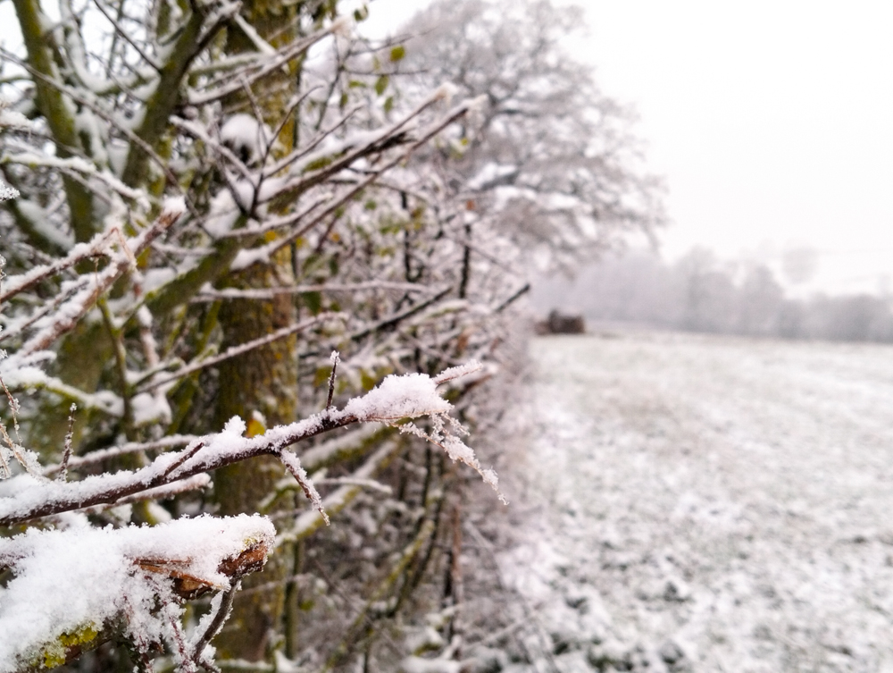 Wales Dingestow Court Old Lands Monmouthshire snow landscapes