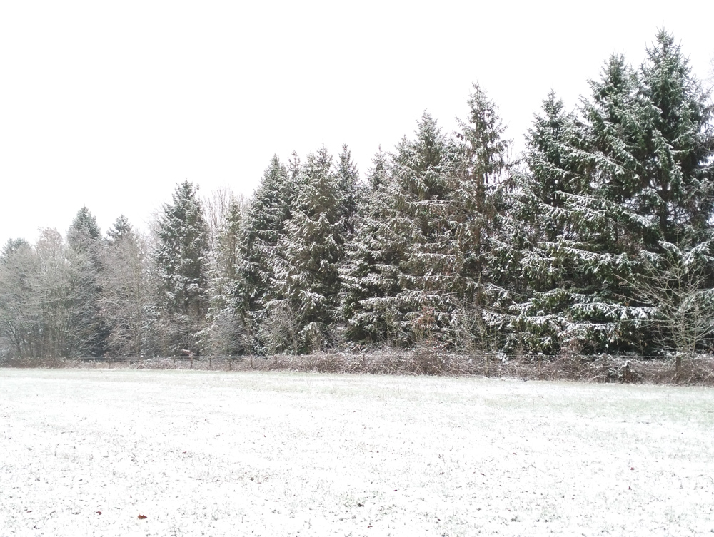 Wales Dingestow Court Old Lands Monmouthshire snow landscapes