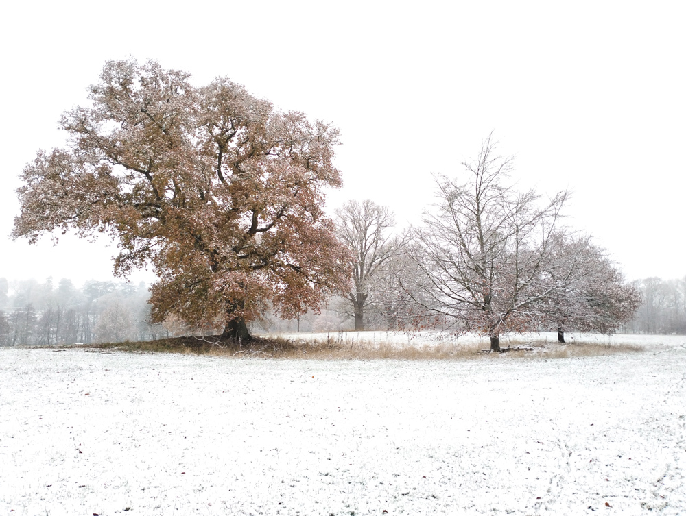 Wales Dingestow Court Old Lands Monmouthshire snow landscapes