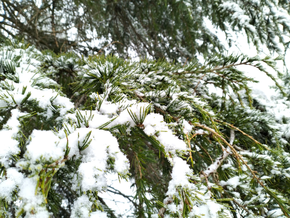 Wales Dingestow Court Old Lands Monmouthshire snow landscapes