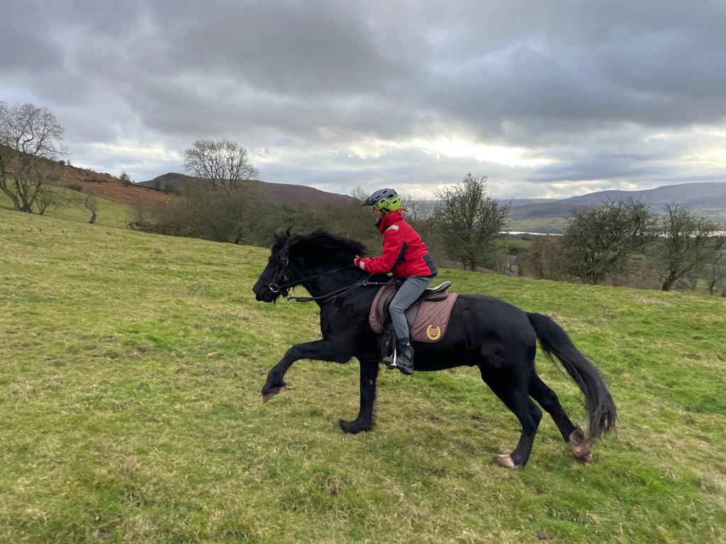 Transwales Trails horseriding in the Black Mountains in Wales