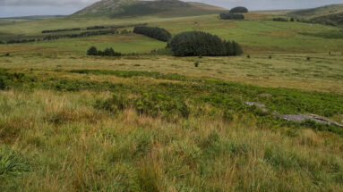 Bodmin Moor Cornwall Britain Garrow Tor Brown Willy Tor Rough Tor