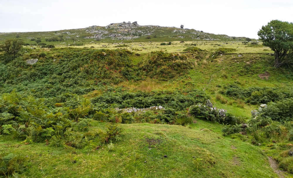 Bodmin Moor marsh area