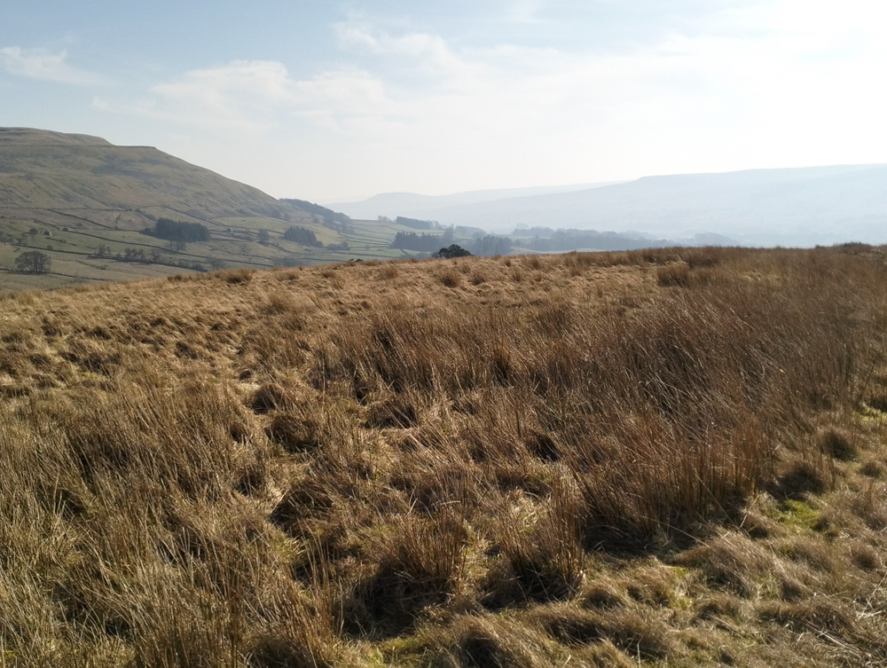 IMG20250309112033 Yorkshire Dales England Great Shunner Fell