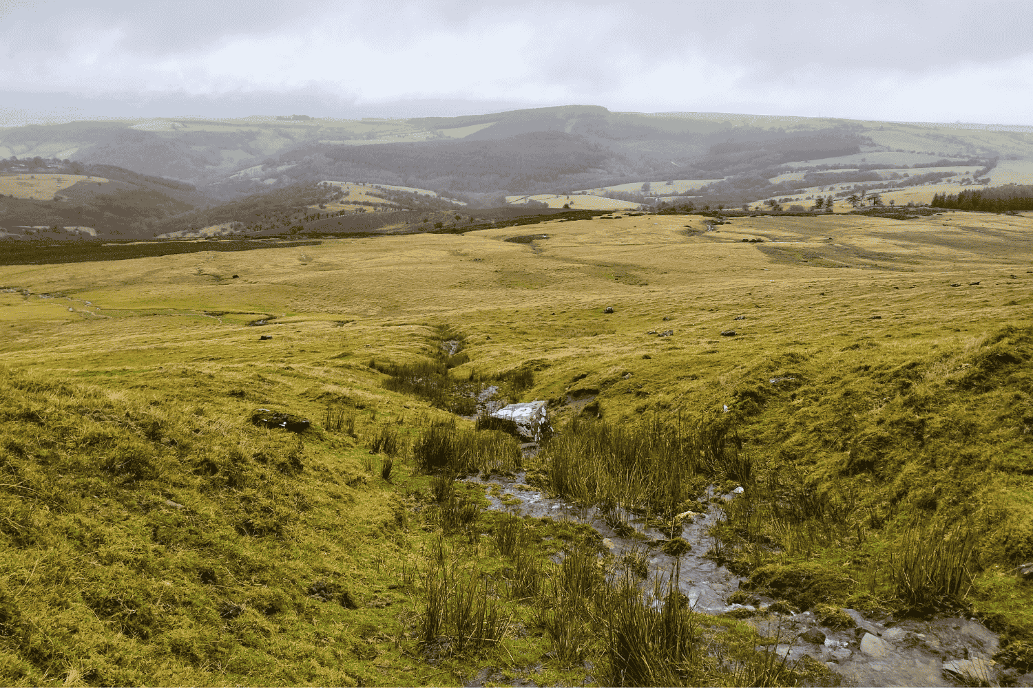 Finding a home within ourselves